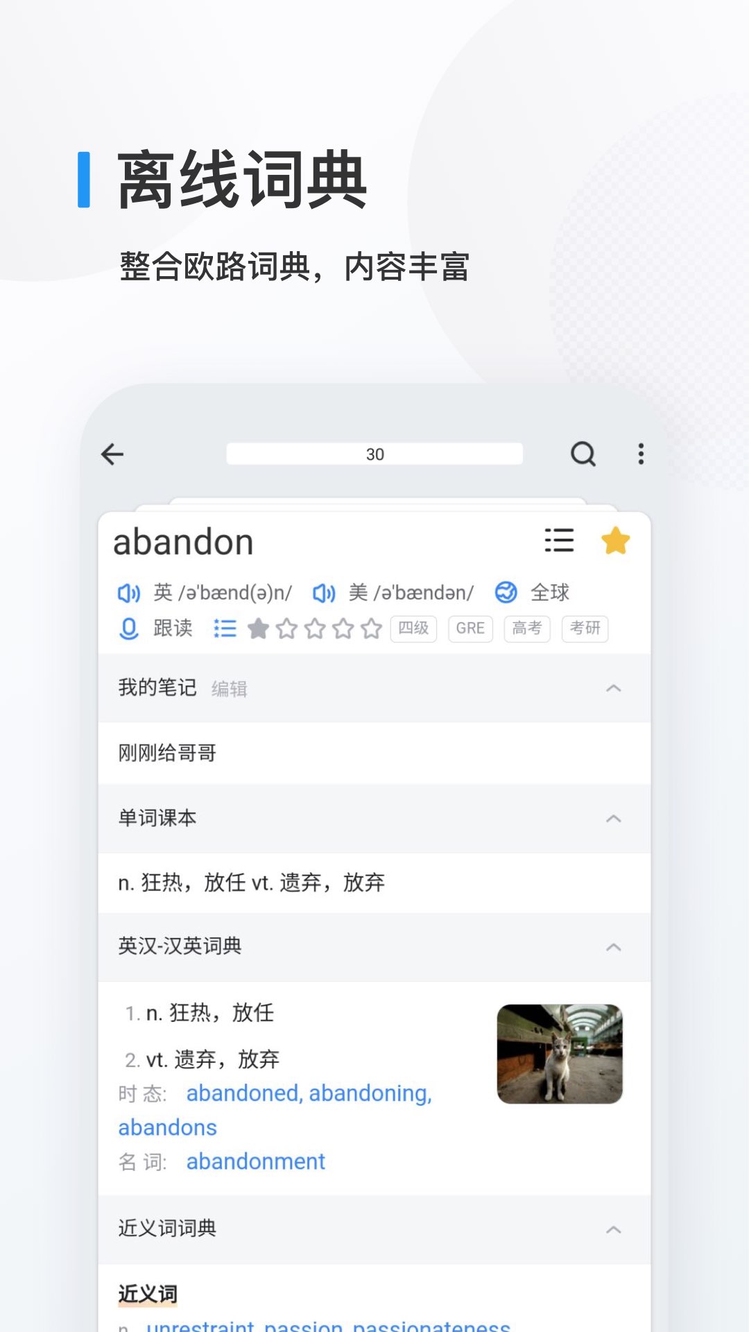 icon